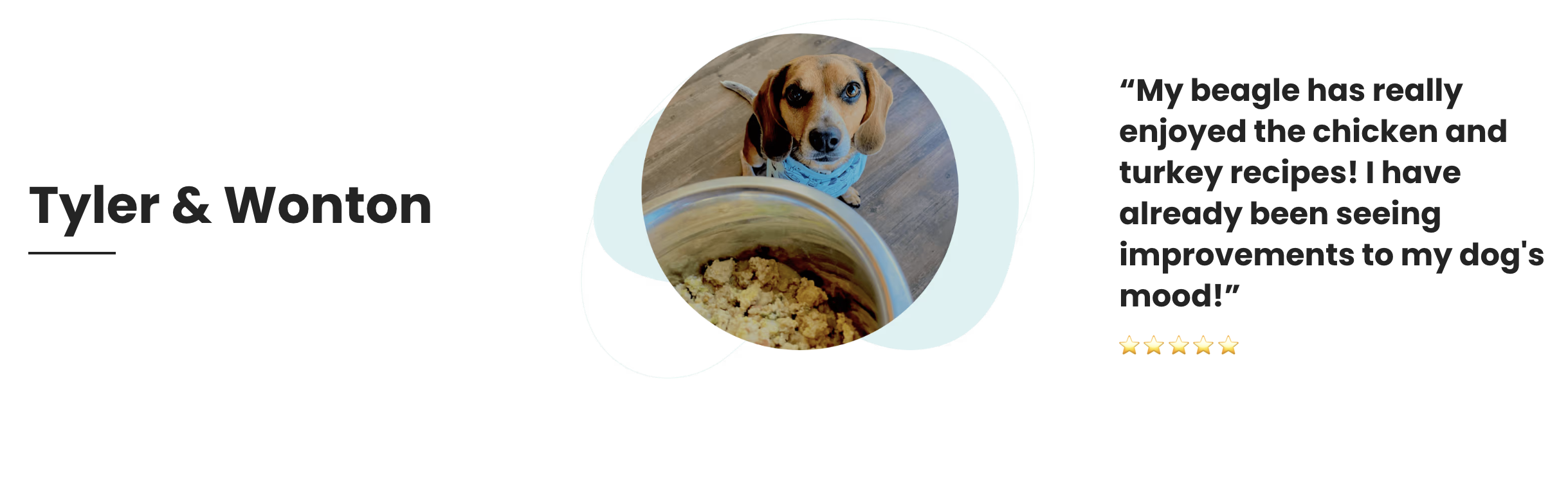 Ollie vs. HelloFresh s The Pets Table Which Dog Food Won My Pup s